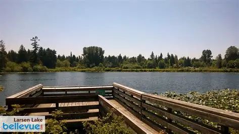 Larsen Lake Blueberry Farm