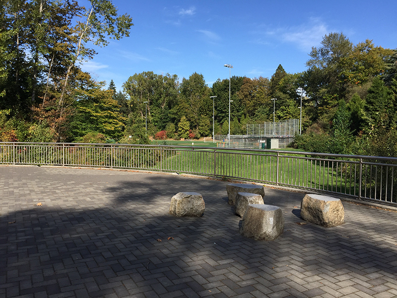 Washington Park Playfield