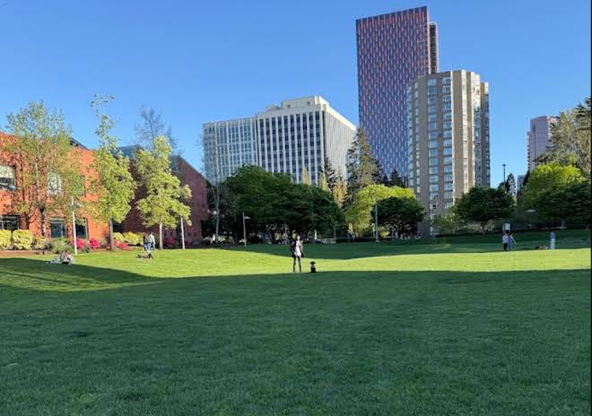 Bellevue Library and Ashwood Park
